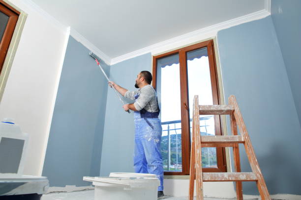 Best Cabinet Painting and Refinishing  in Winter Garden, FL