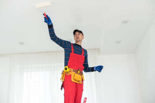 Best Water-Damaged Drywall Repair  in Winter Garden, FL